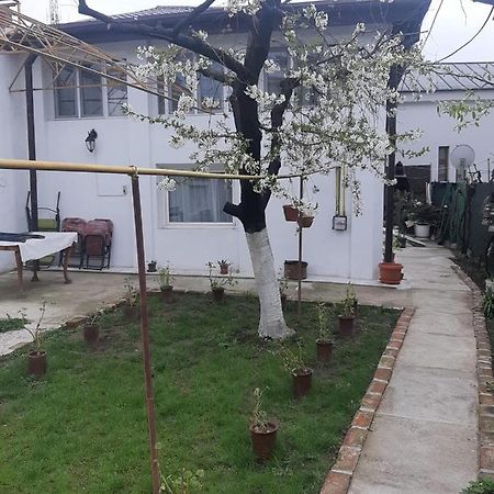 מלון קריובה House מראה חיצוני תמונה