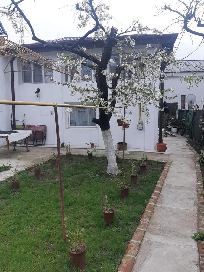 מלון קריובה House מראה חיצוני תמונה